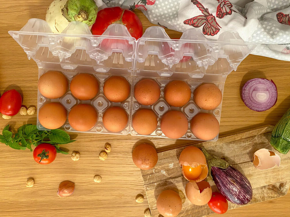 50 Contenitori/Confezioni portauova da 6 uova in plastica 