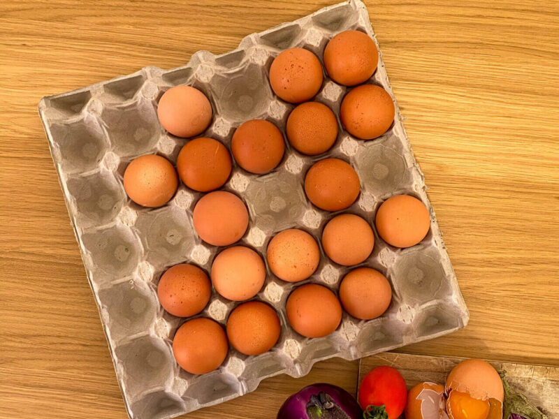 Cartoni per 30 uova. Dimensione 30x30 centimetri