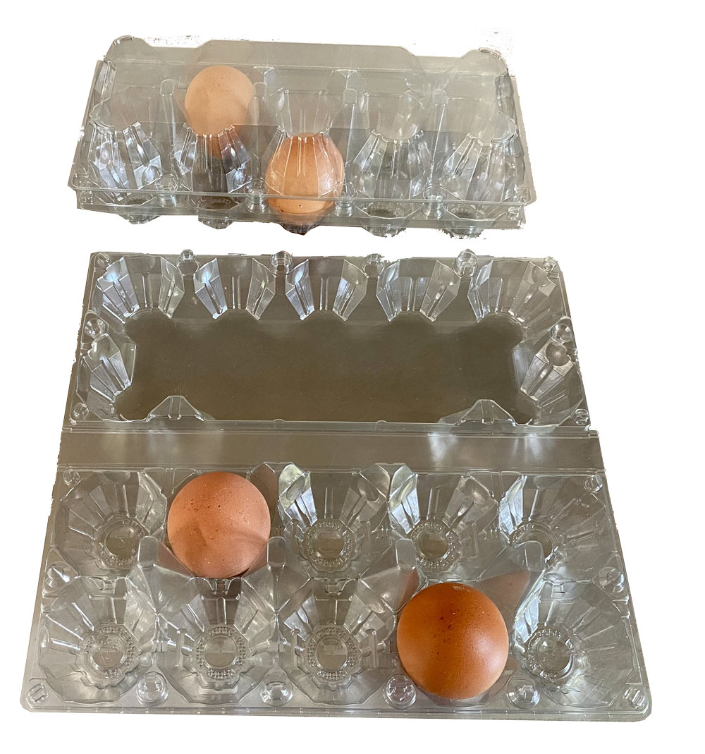 Set di 10 vassoi per uova in plastica impilabili - ducatillon