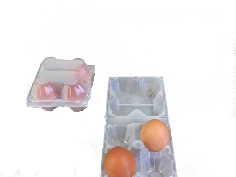 51 pz confezioni portauova da 4 uova in plastica