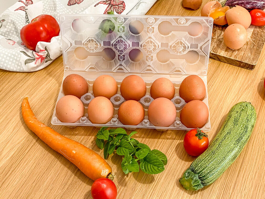 contenitore uova per 10 uova porta uova plastica 10 pezzi trasparente riutilizzabile Porto uovo Hausfelder 