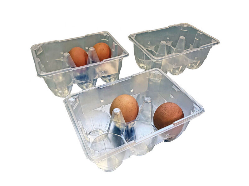 50 vaschette portauova trasparenti da 6 uova senza coperchio