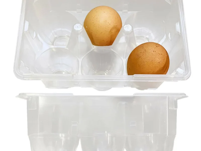 50 pz Vaschette Portauova trasparenti da 6 Uova. Senza Coperchio