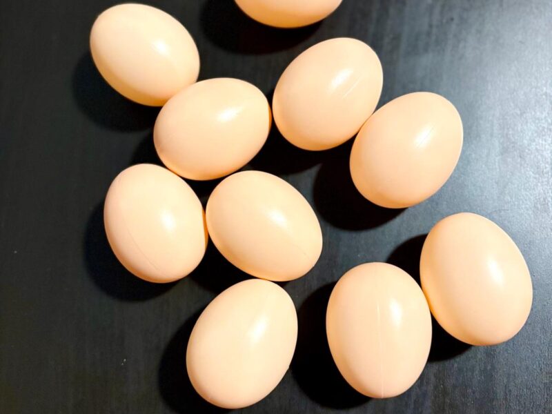10 pz Uova Finte per Galline in Plastica, aiutano le galline e uccelli nella Cova